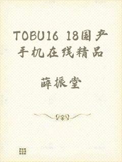 TOBU16 18国产手机在线精品